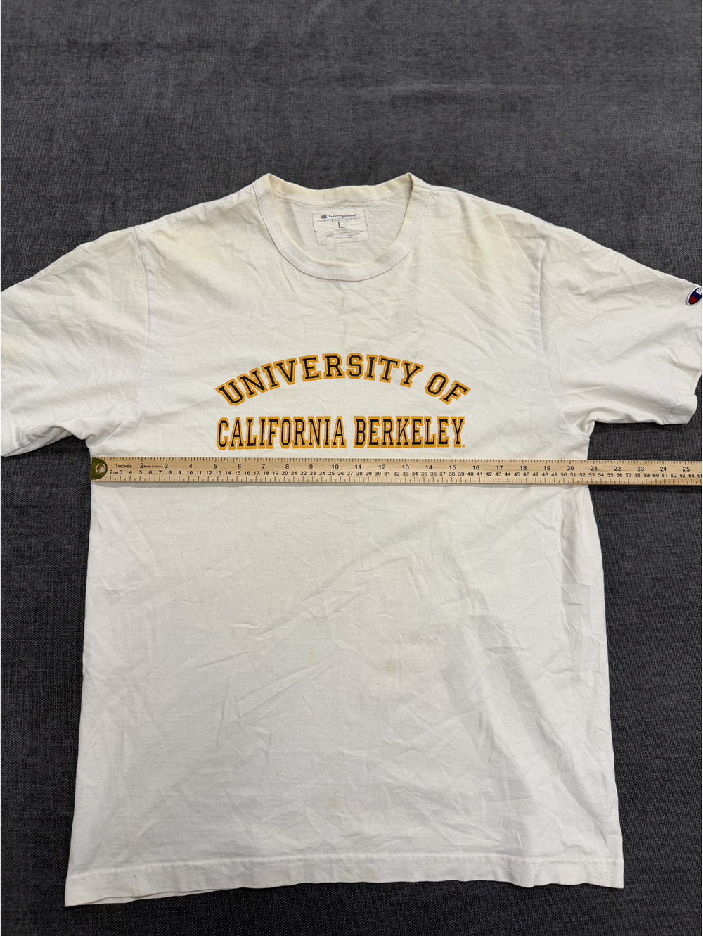 Champion University of California Berkeley White Graphic T-Shirt Large - Picture 3 of 12